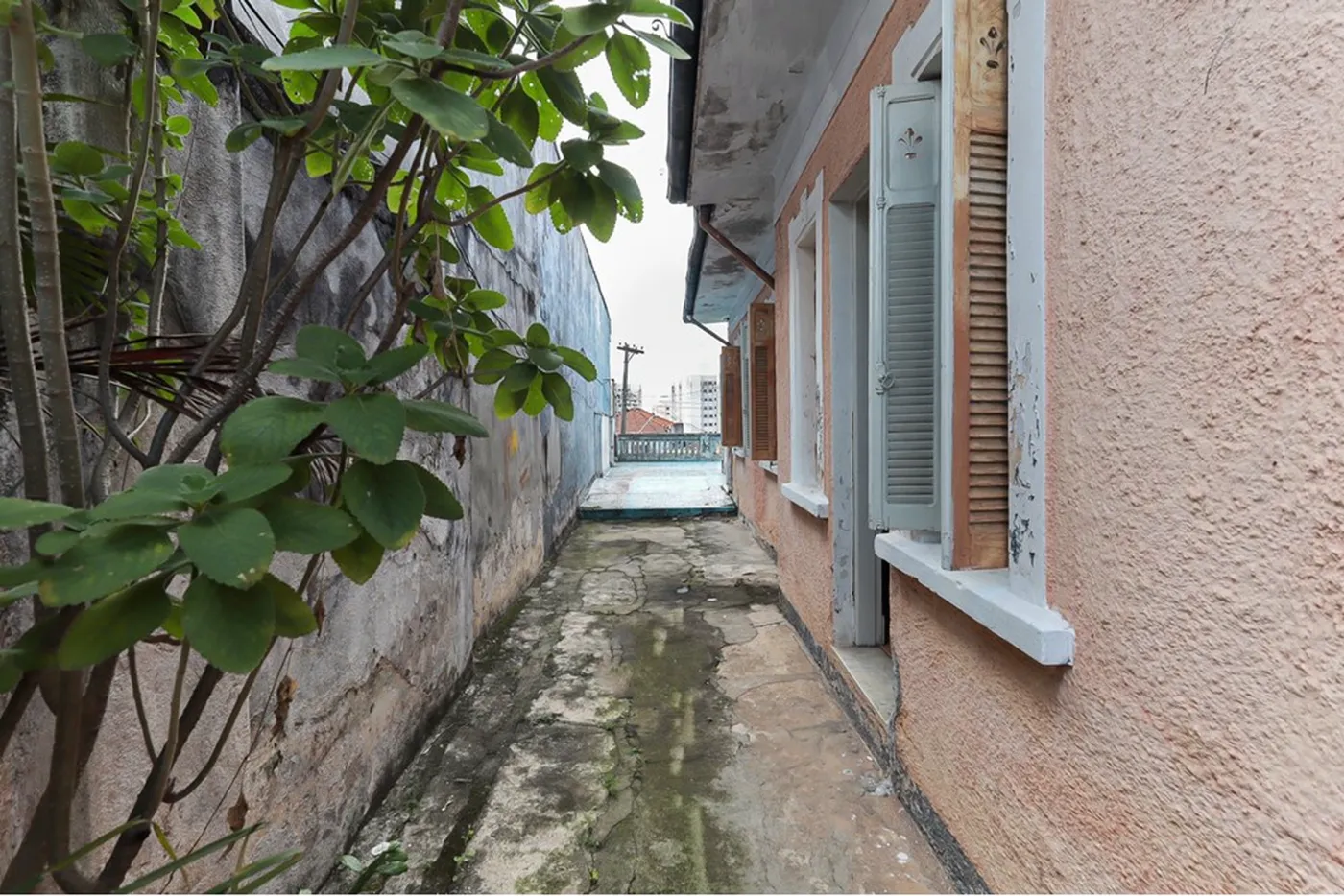 CB 236 601401003-57 - REMAX Paradisus Exclusividades