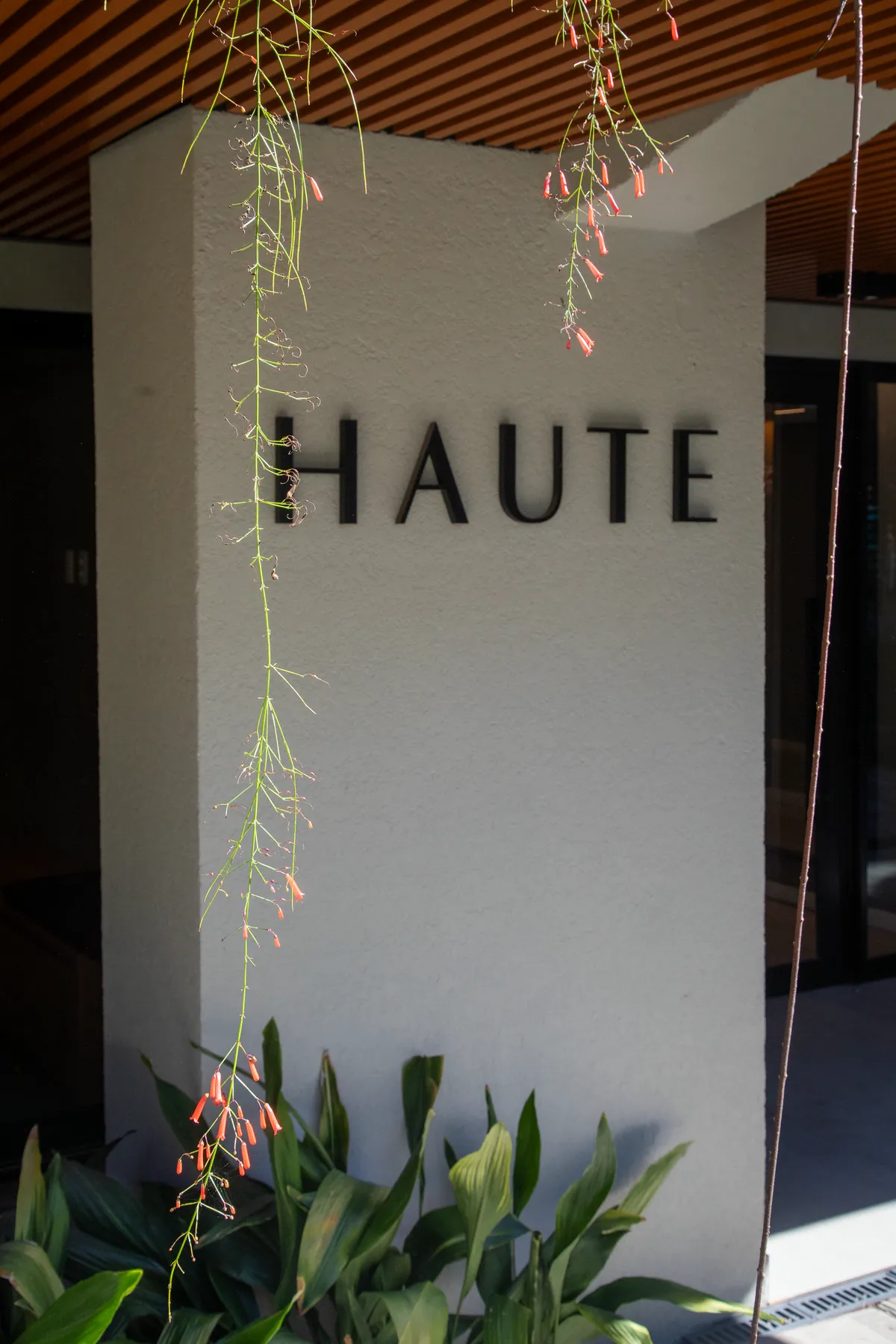 Haute - Bordini