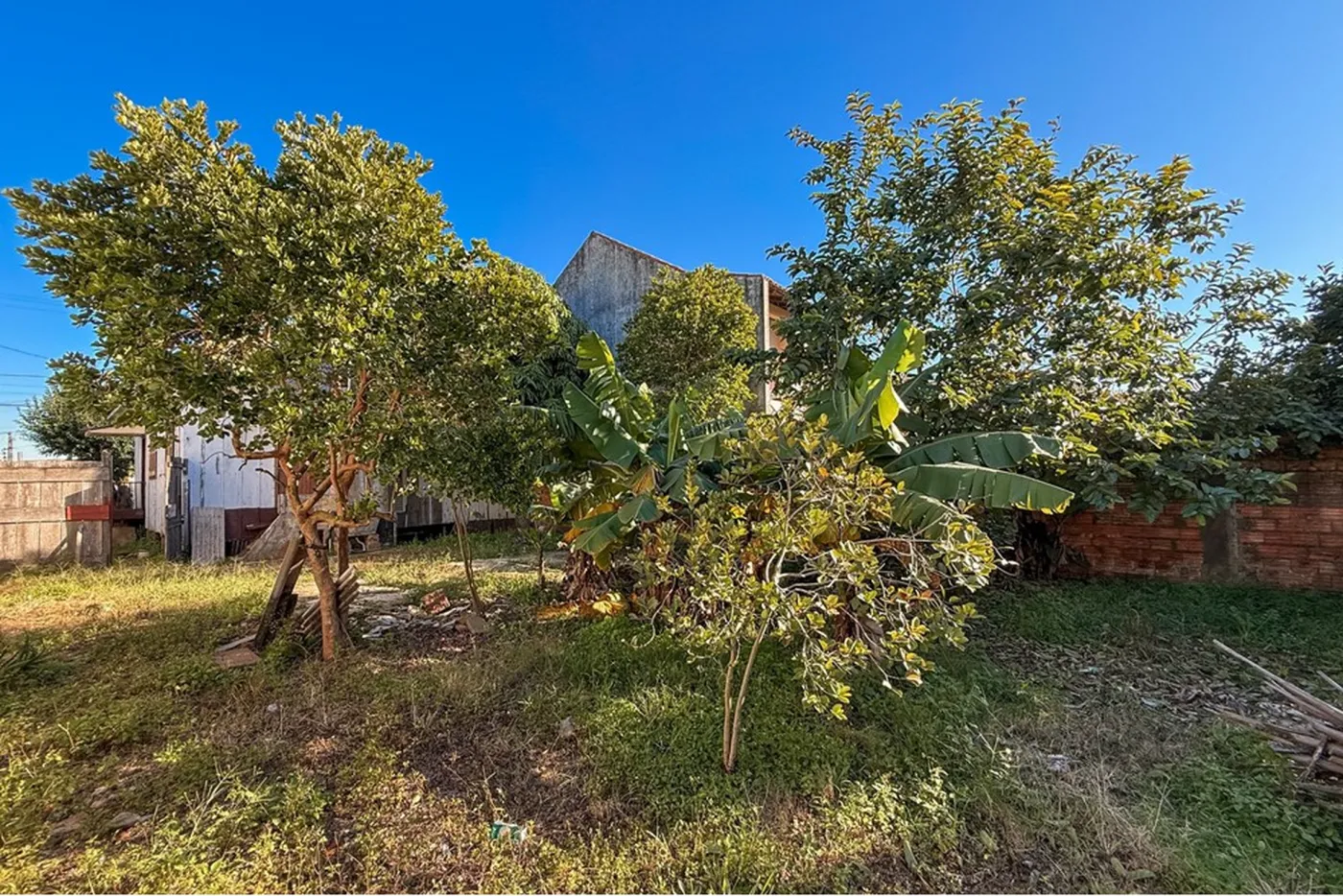 NOL 72 Lote 612651056-8 - REMAX Pillares Exclusividades