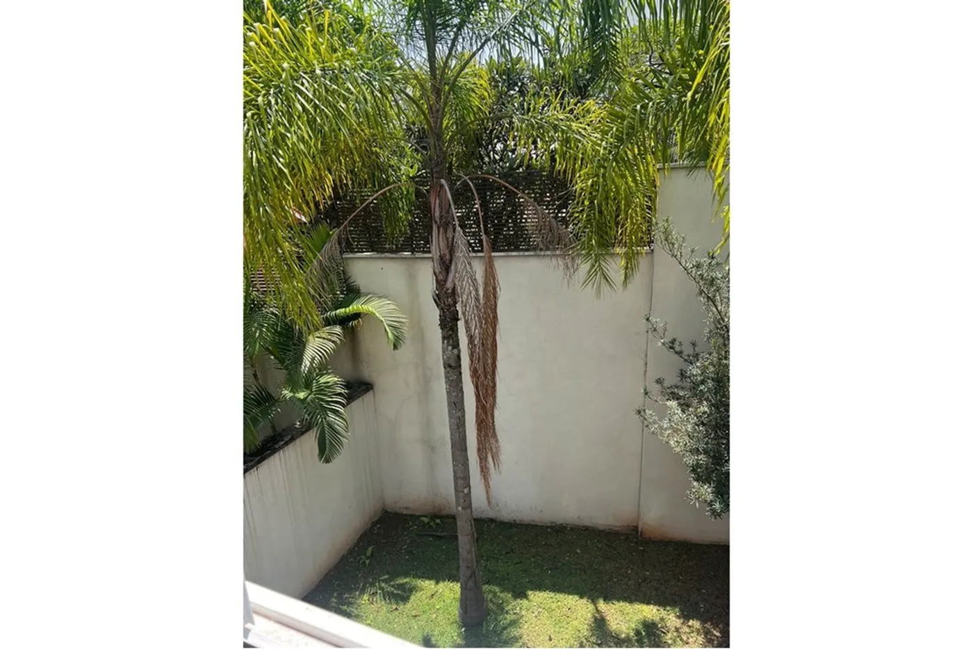 RPJCDAM 541 Casa 601361051-23 - REMAX Trio Exclusividades