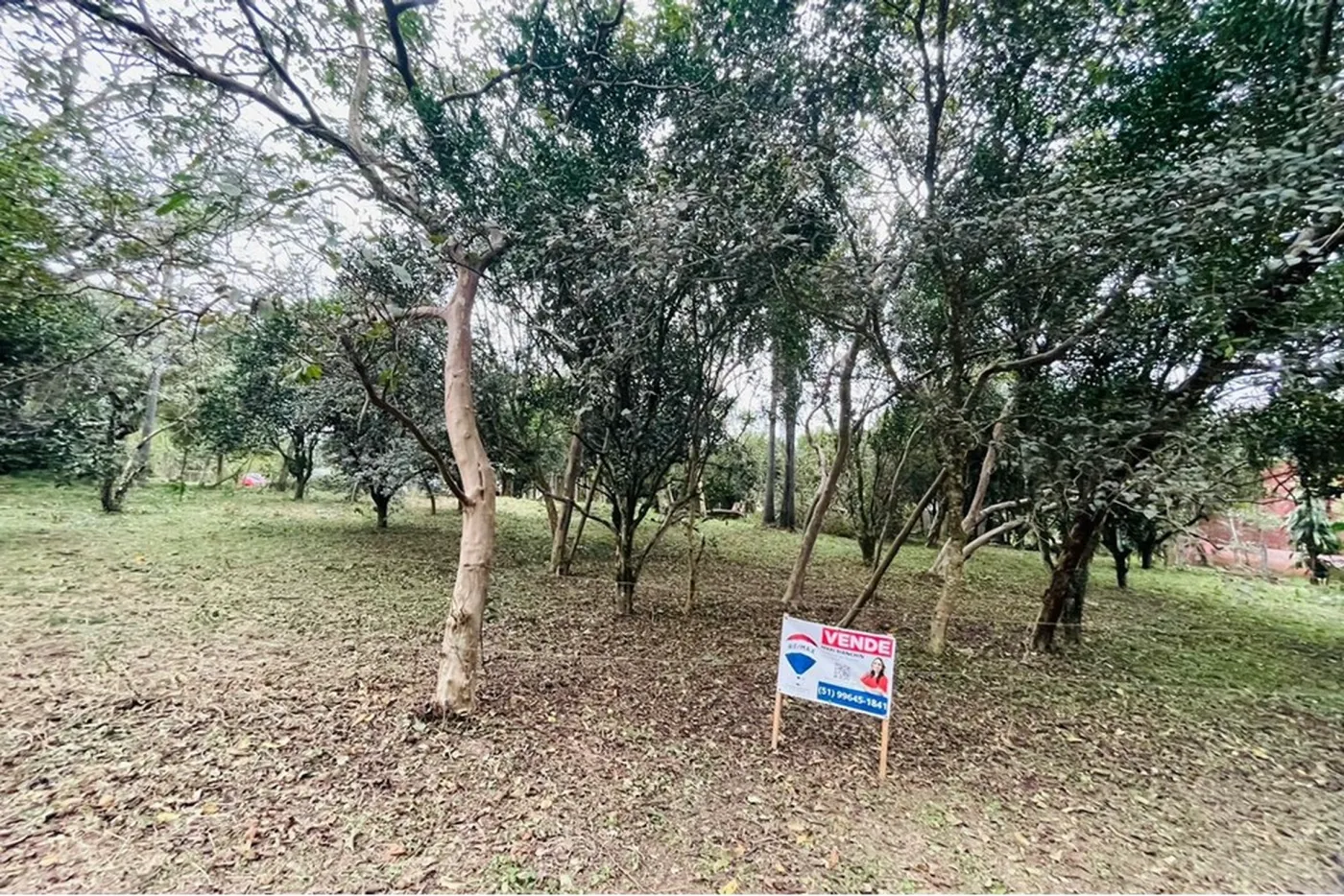 CMCF 2 Lote 612651033-85 - REMAX Pillares Exclusividades