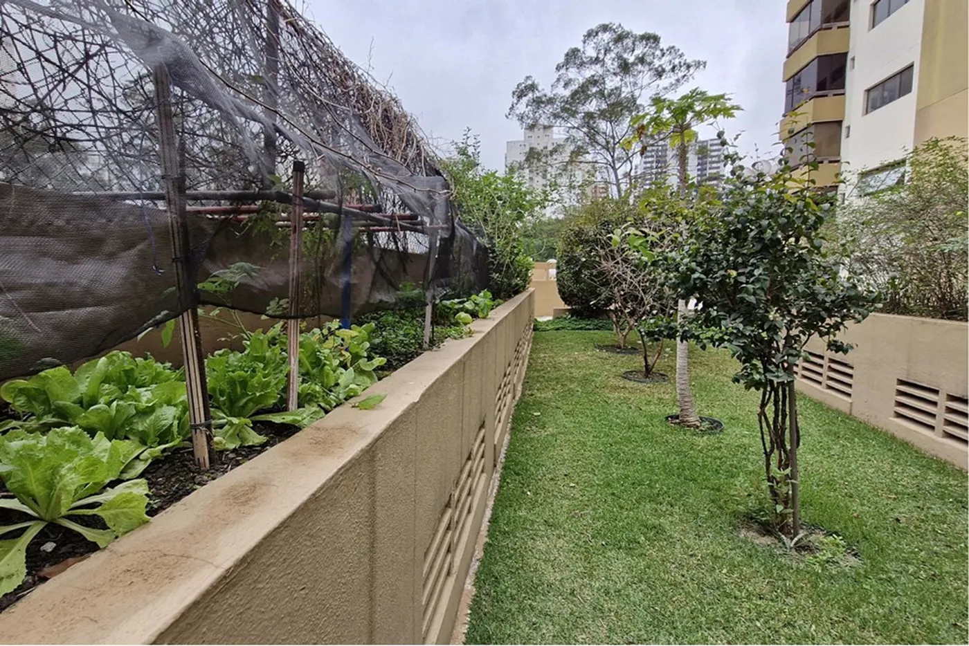MCSC 321 Apto 601361044-52 - REMAX Trio Exclusividades