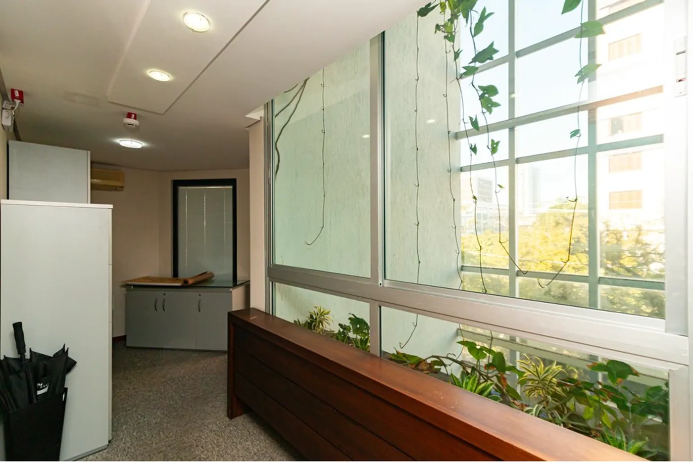 MDB 230 Sala 610221070-6 - REMAX Donno Exclusividades