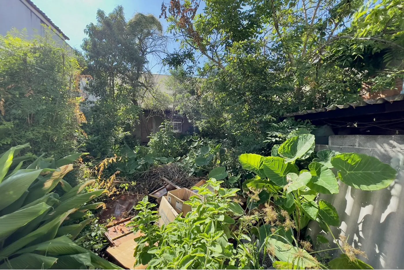 APPMA 58 Loja 601301067-6 - Remax Studio 76 Exclusividades