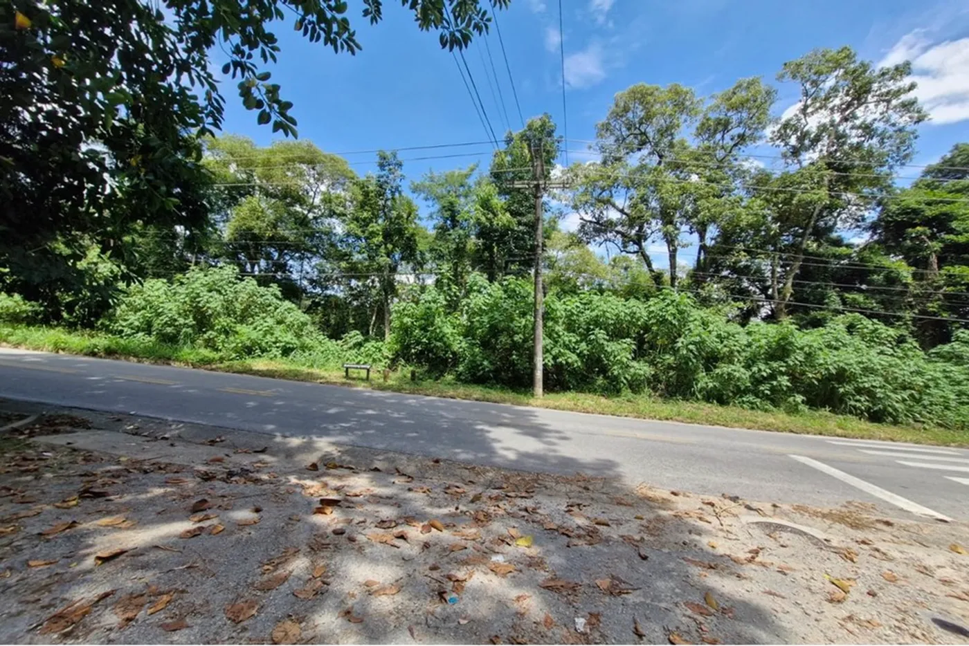 TPDR 95 Lote 602291018-147 - REMAX B12 Exclusividades