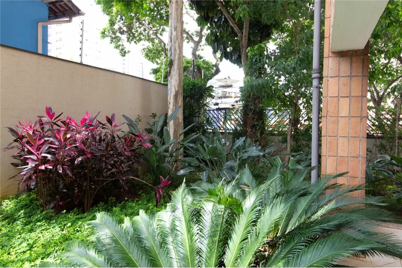 CBJAS 1197 Apto 601971018-1244 - REMAX Empire Exclusividades