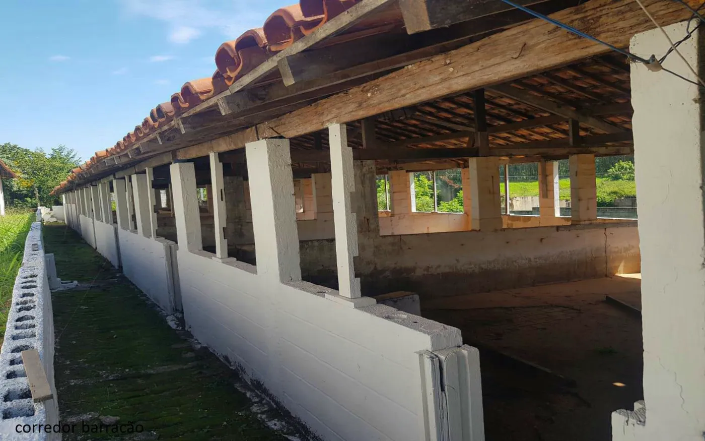 PRDGPB 0 TUAH643_2-3744366 - Adhemar José Mazzeti Exclusividades
