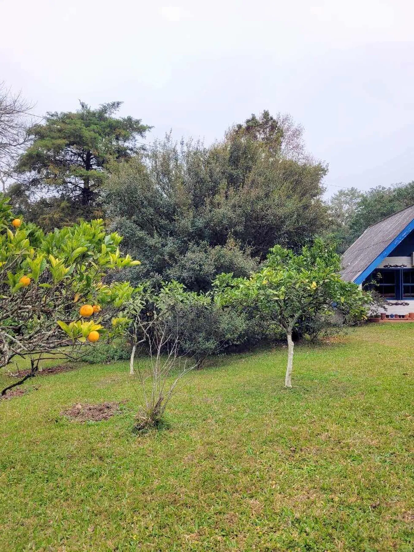 PEDC 0 Casa SI0001 - Sant'Anna Imóveis Exclusividades