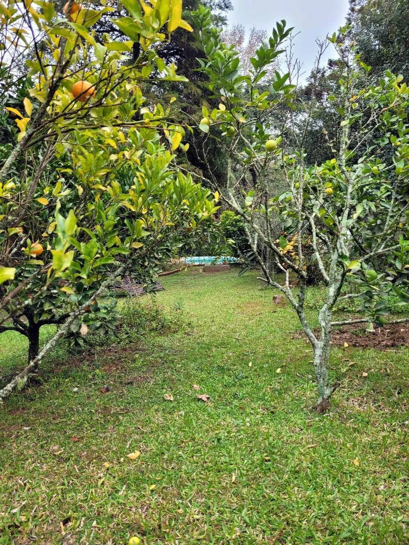 PEDC 0 Casa SI0001 - Sant'Anna Imóveis Exclusividades