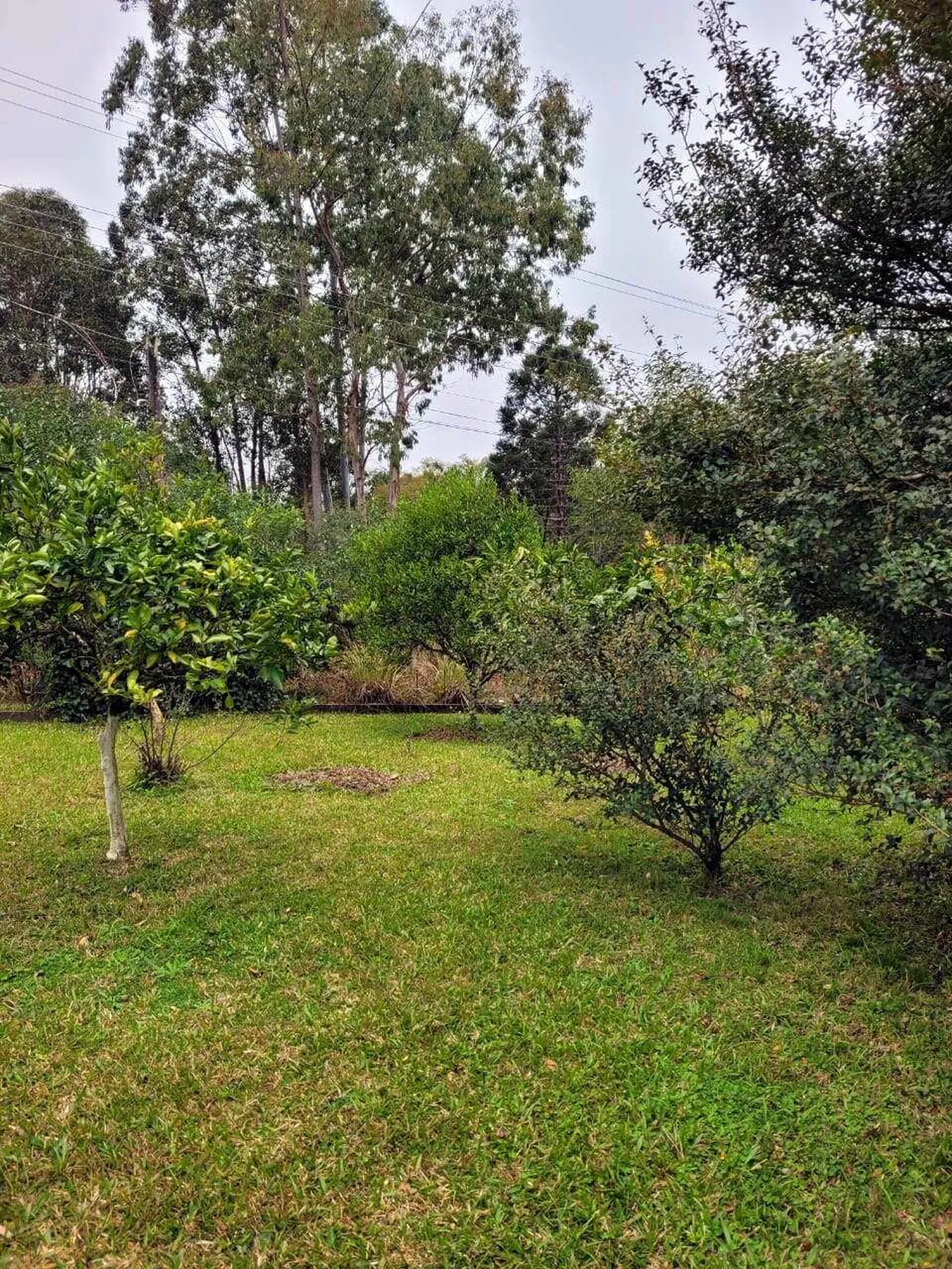PEDC 0 Casa SI0001 - Sant'Anna Imóveis Exclusividades