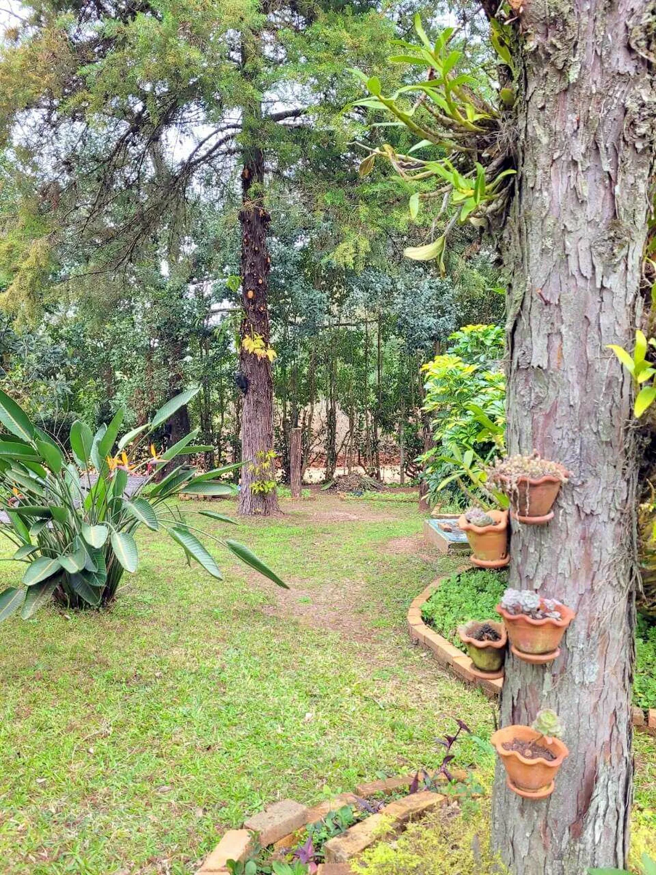 PEDC 0 Casa SI0001 - Sant'Anna Imóveis Exclusividades