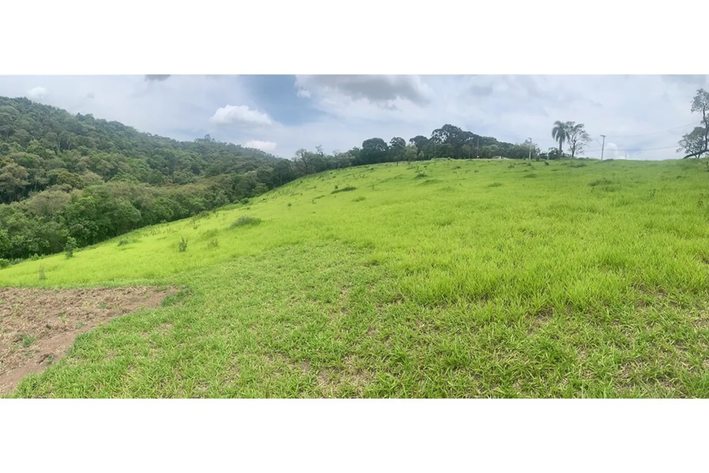 QDMEDM 1600 Lote 601081091-2 - REMAX Lepex Exclusividades