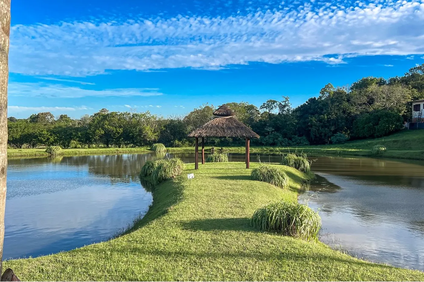 SFADSA 1850 Lote 610241012-203 - REMAX 520 Exclusividades