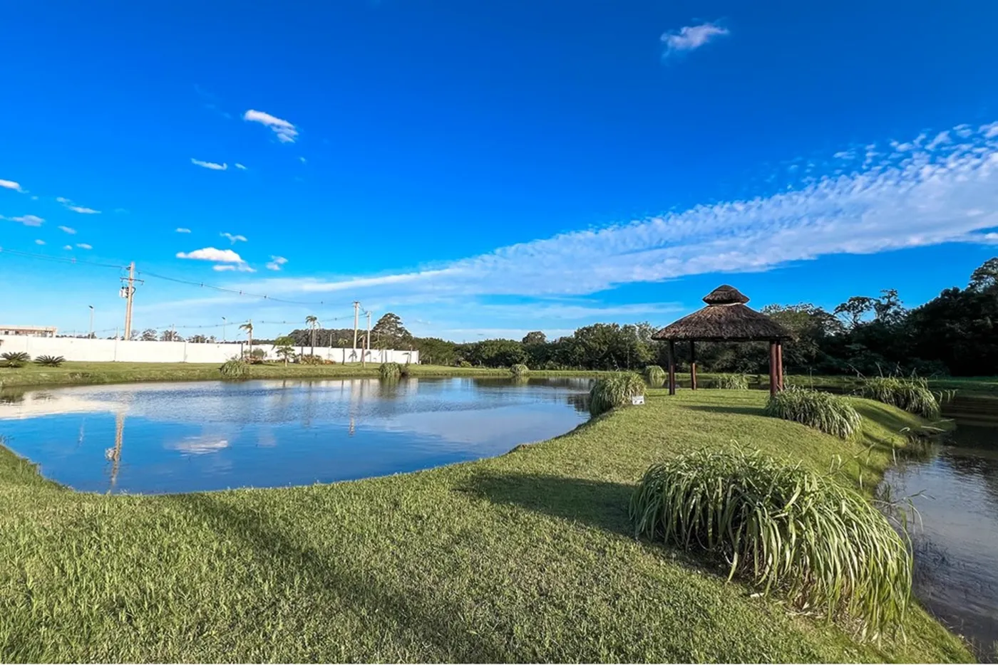 SFADSA 1850 Lote 610241012-203 - REMAX 520 Exclusividades