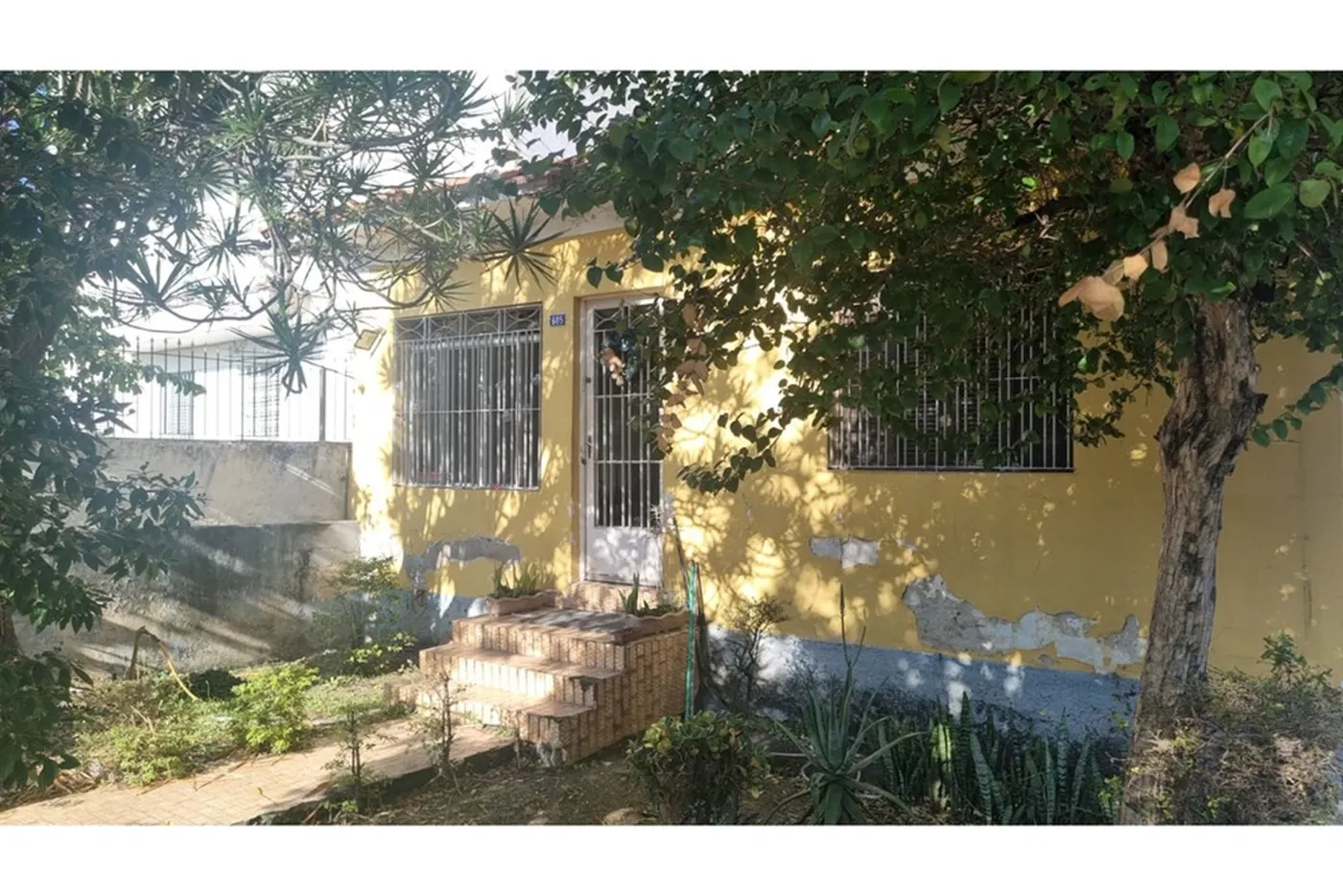 CMNDP 683 Lote 602291016-216 - REMAX B12 Exclusividades
