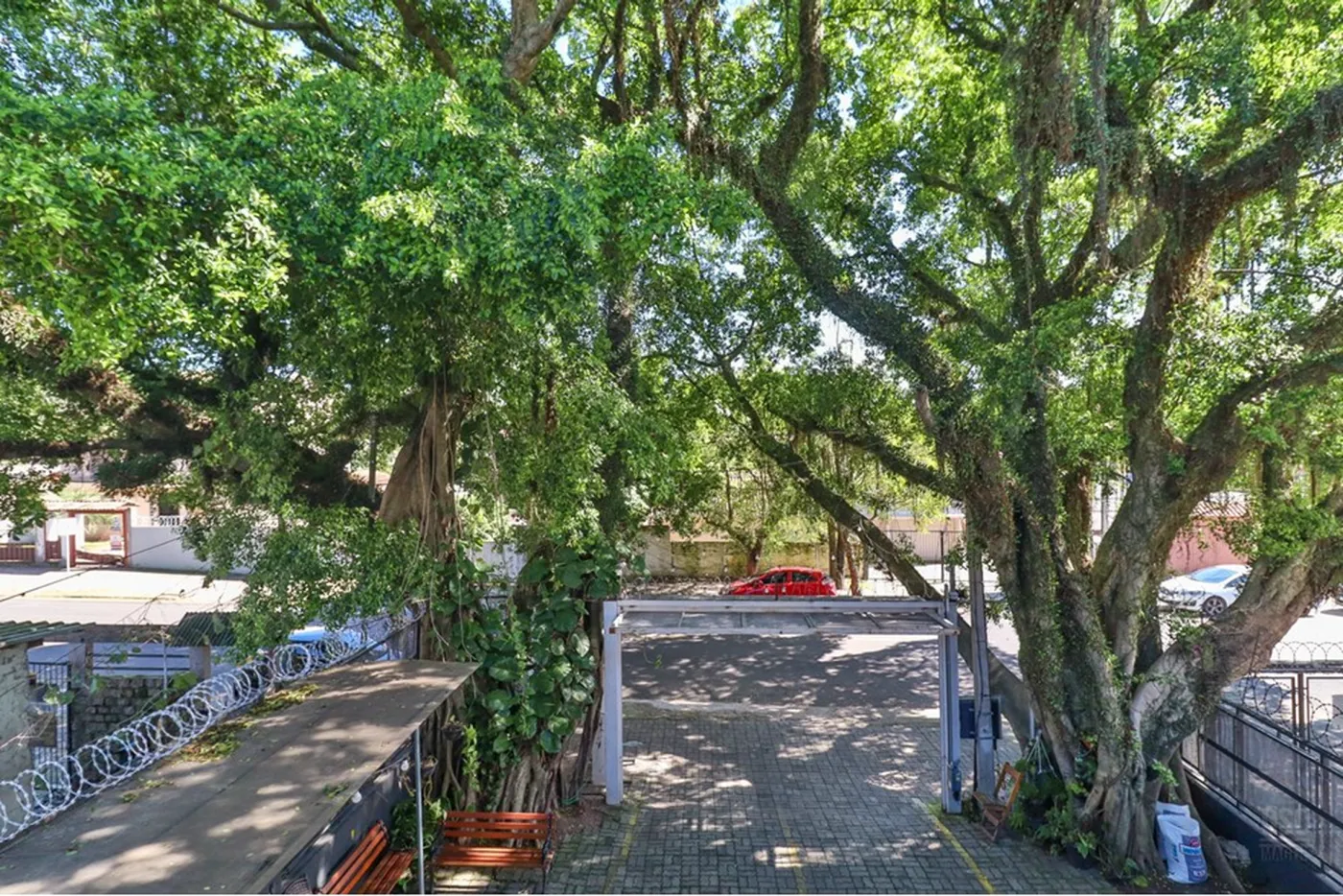TDPN 1195 Prédio 610191042-211 - REMAX Casa Sul Exclusividades