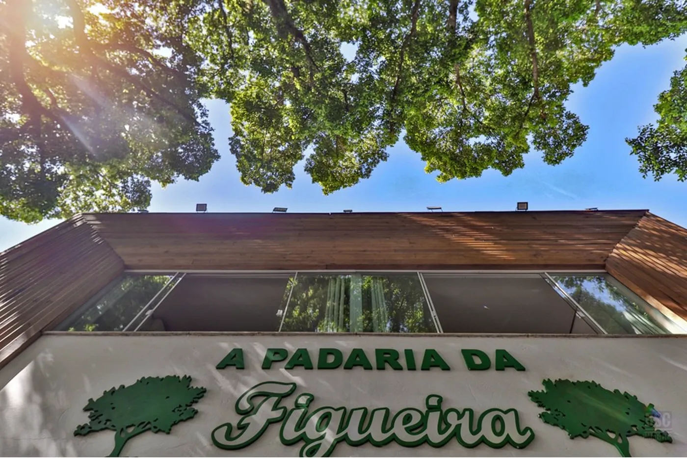 TDPN 1195 Prédio 610191042-211 - REMAX Casa Sul Exclusividades