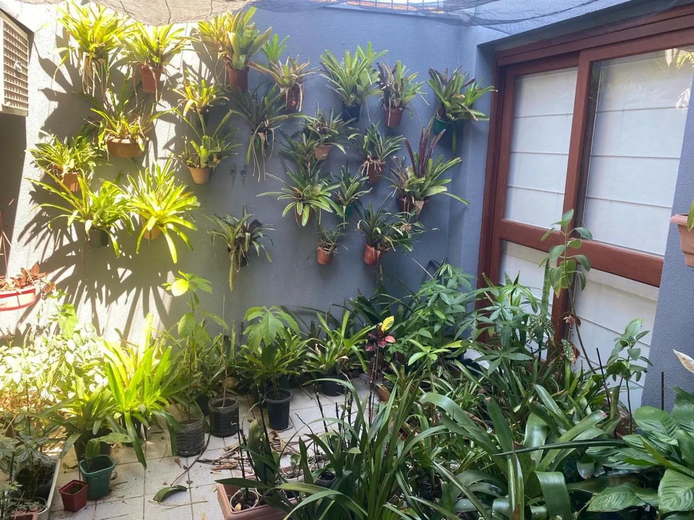 CDPCC 125 Casa 84820 - Nethomes Exclusividades