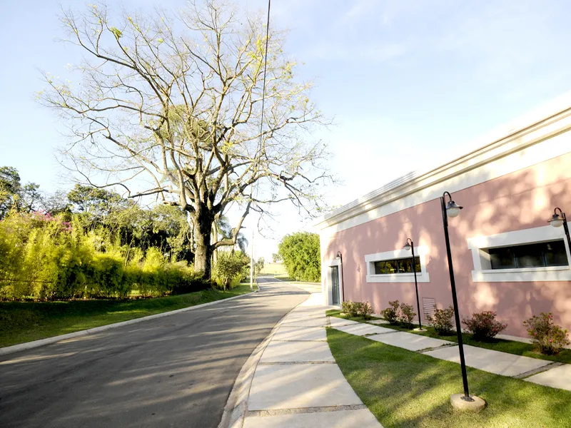 Quinta do Pinhal - FA OLIVA