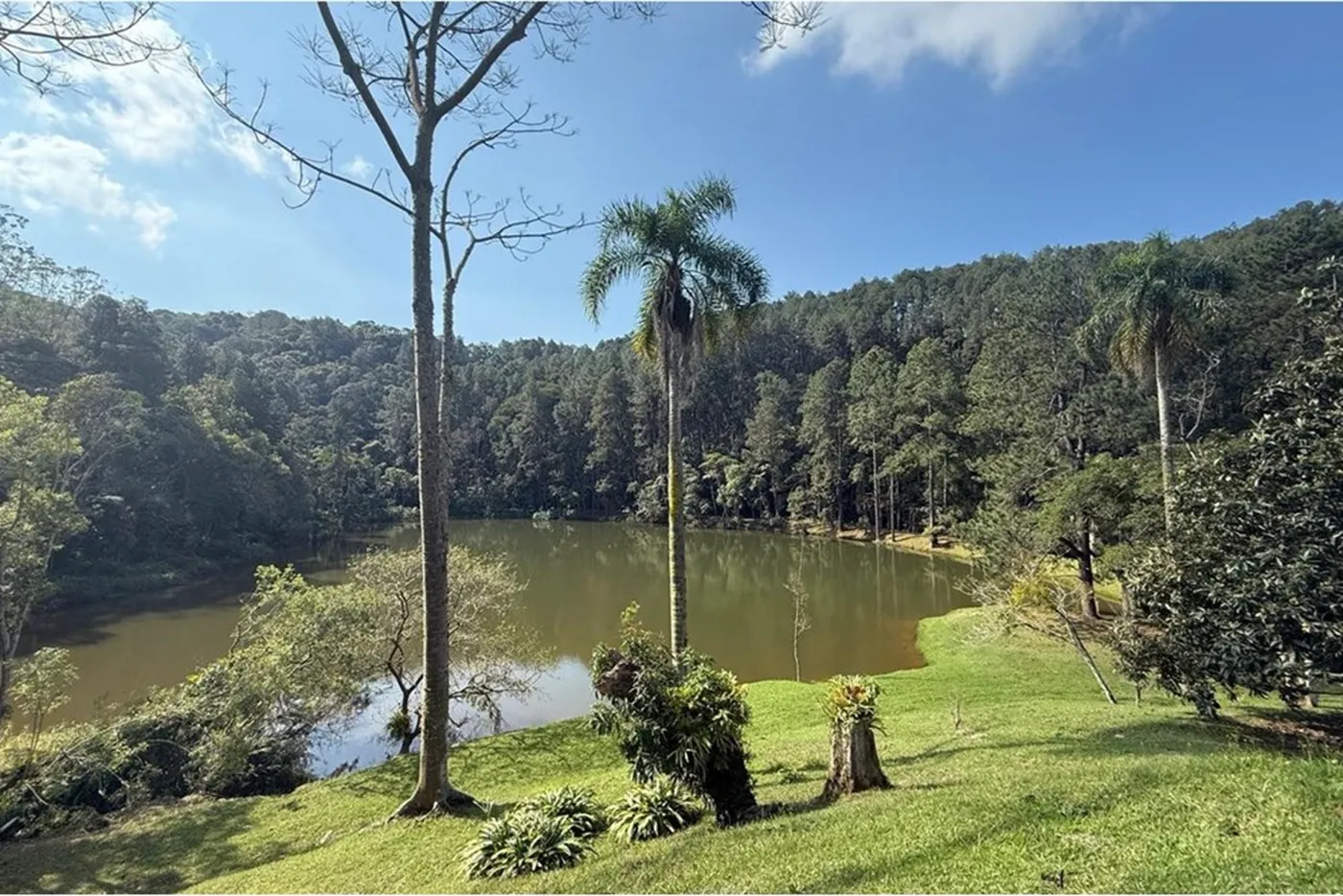 PDE 1 601241014-64 - REMAX Ville Exclusividades