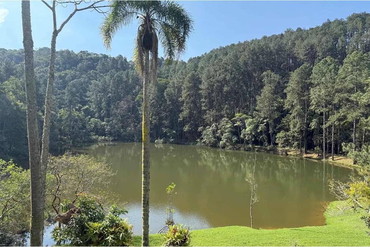 PDE 1 601241014-64 - REMAX Ville Exclusividades