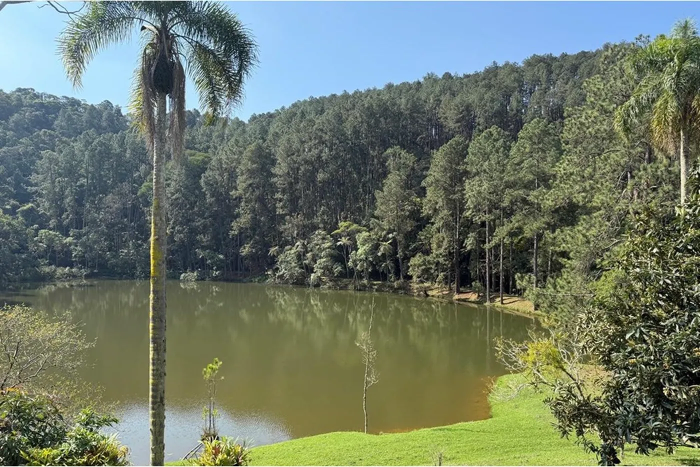 PDE 1 601241014-64 - REMAX Ville Exclusividades