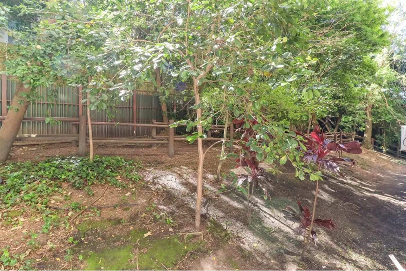 TDT 215 Apto 610191042-212 - REMAX Casa Sul Exclusividades