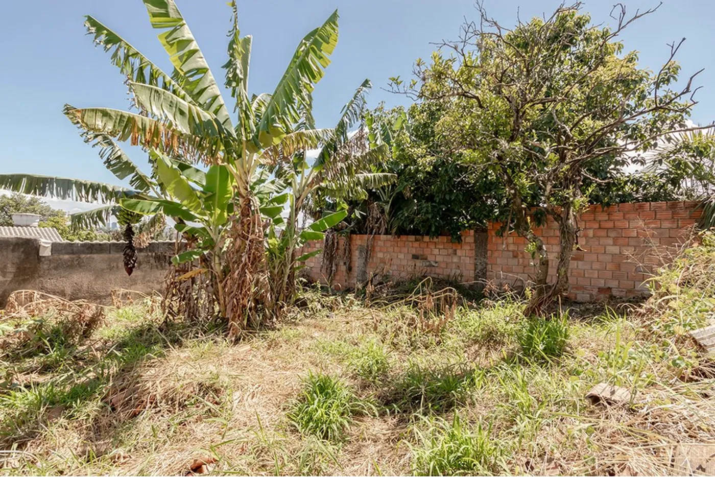 TL 1144 Lote 610191029-25 - REMAX Casa Sul Exclusividades