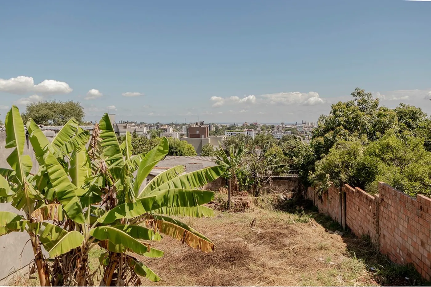 TL 1144 Lote 610191029-25 - REMAX Casa Sul Exclusividades