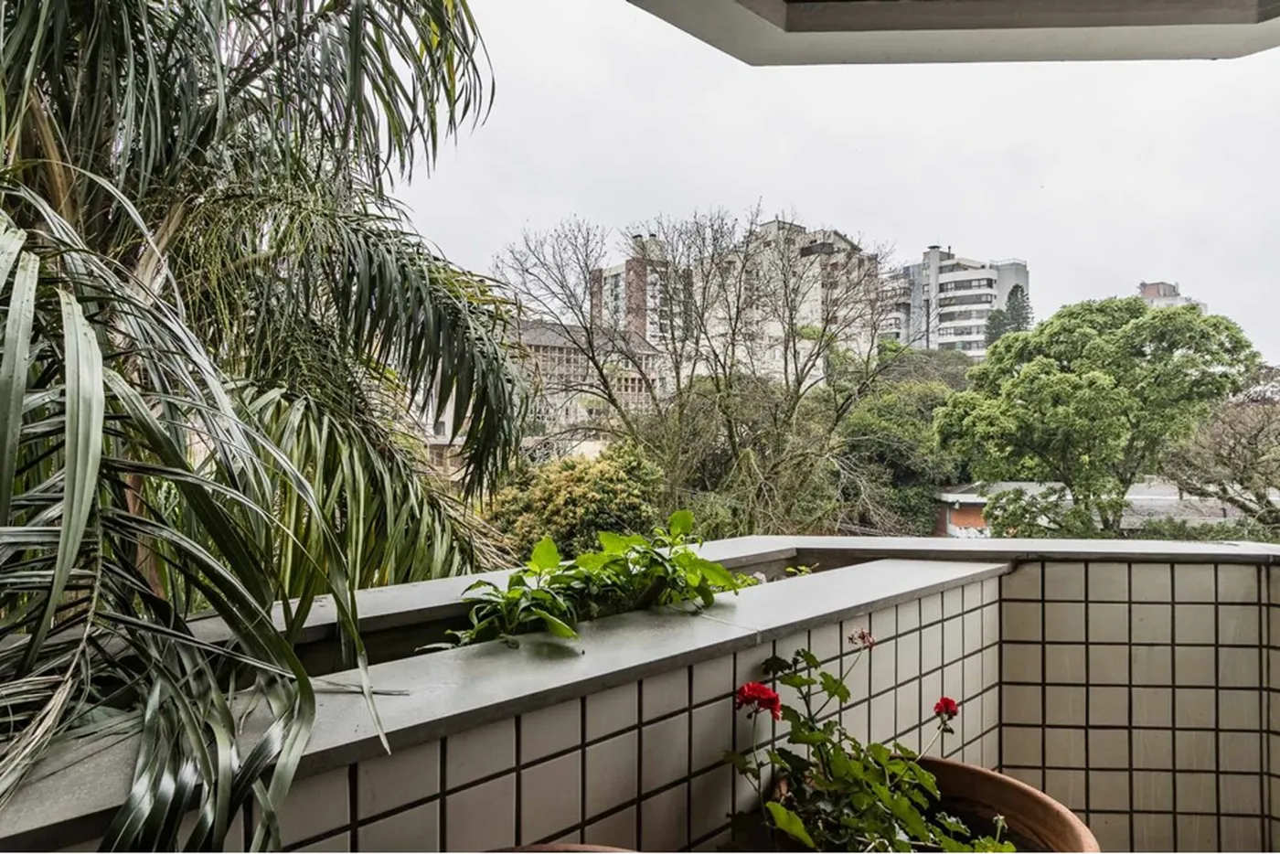PR 321 Apto 612511011-36 - REMAX Moderna Exclusividades