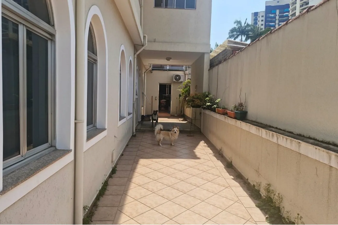 JSPNODC 126 602291018-182 - REMAX B12 Exclusividades