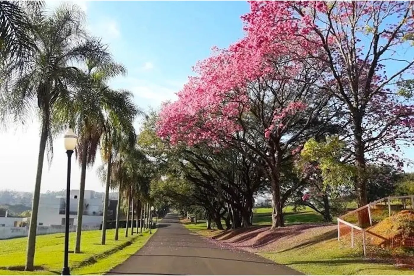 VMADB 4 Lote 601081013-36 - REMAX Lepex Exclusividades