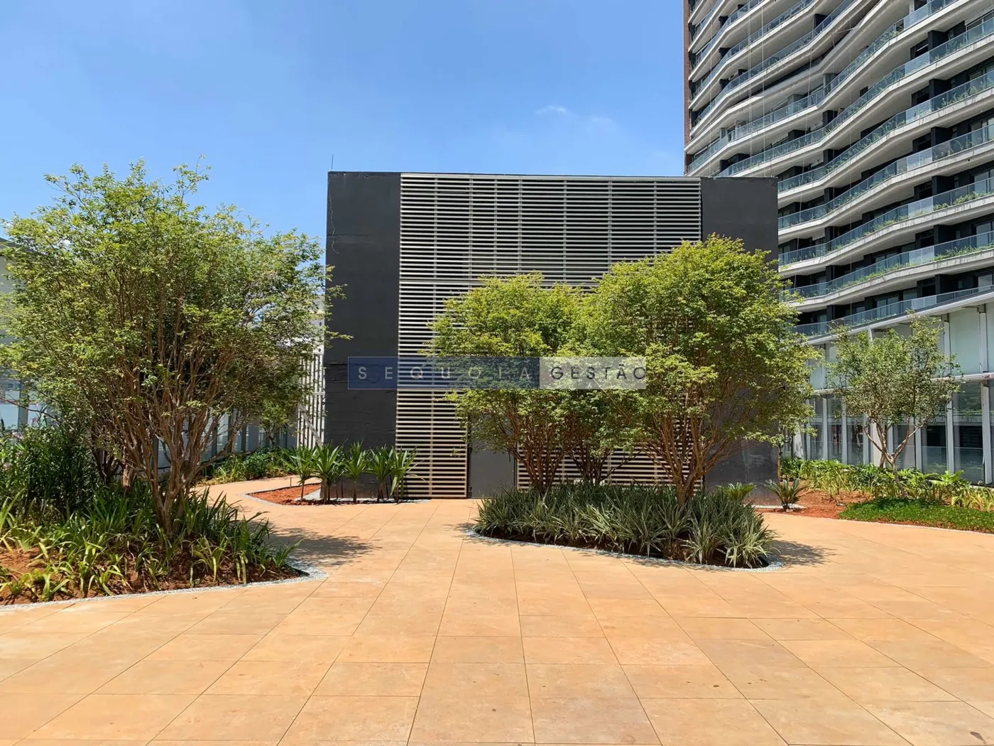 POF 2250 Sala 1474 - Sequoia Exclusividades — foto 4