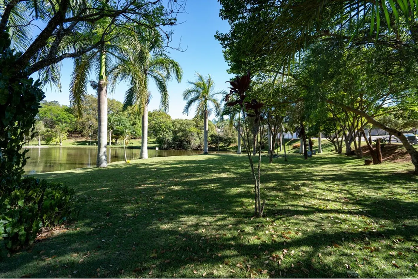 JTCDJKDO 1201 Lote 690591032-126 - REMAX Máxima Exclusividades — foto 5
