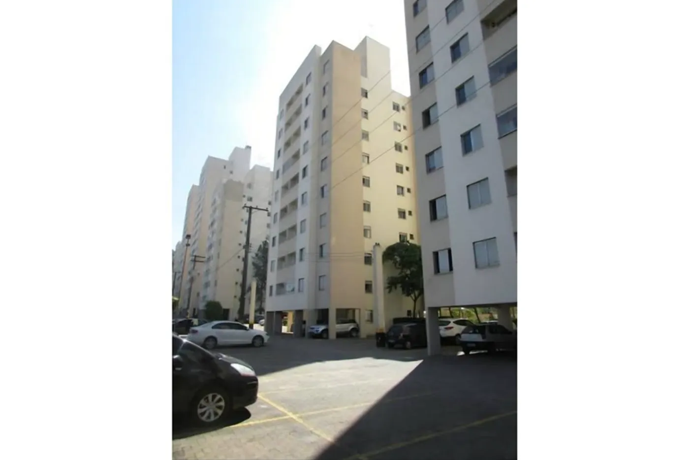 JBV(ORT 8760 Apto 601261027-33 - REMAX Terra Exclusividades — foto 5