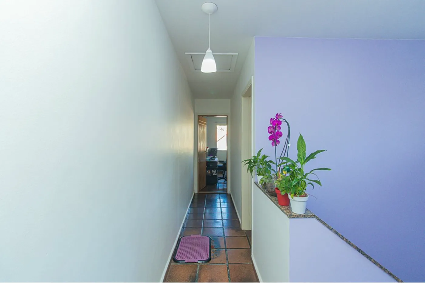 JPJNR 186 601401070-4 - REMAX Paradisus Exclusividades — foto 4