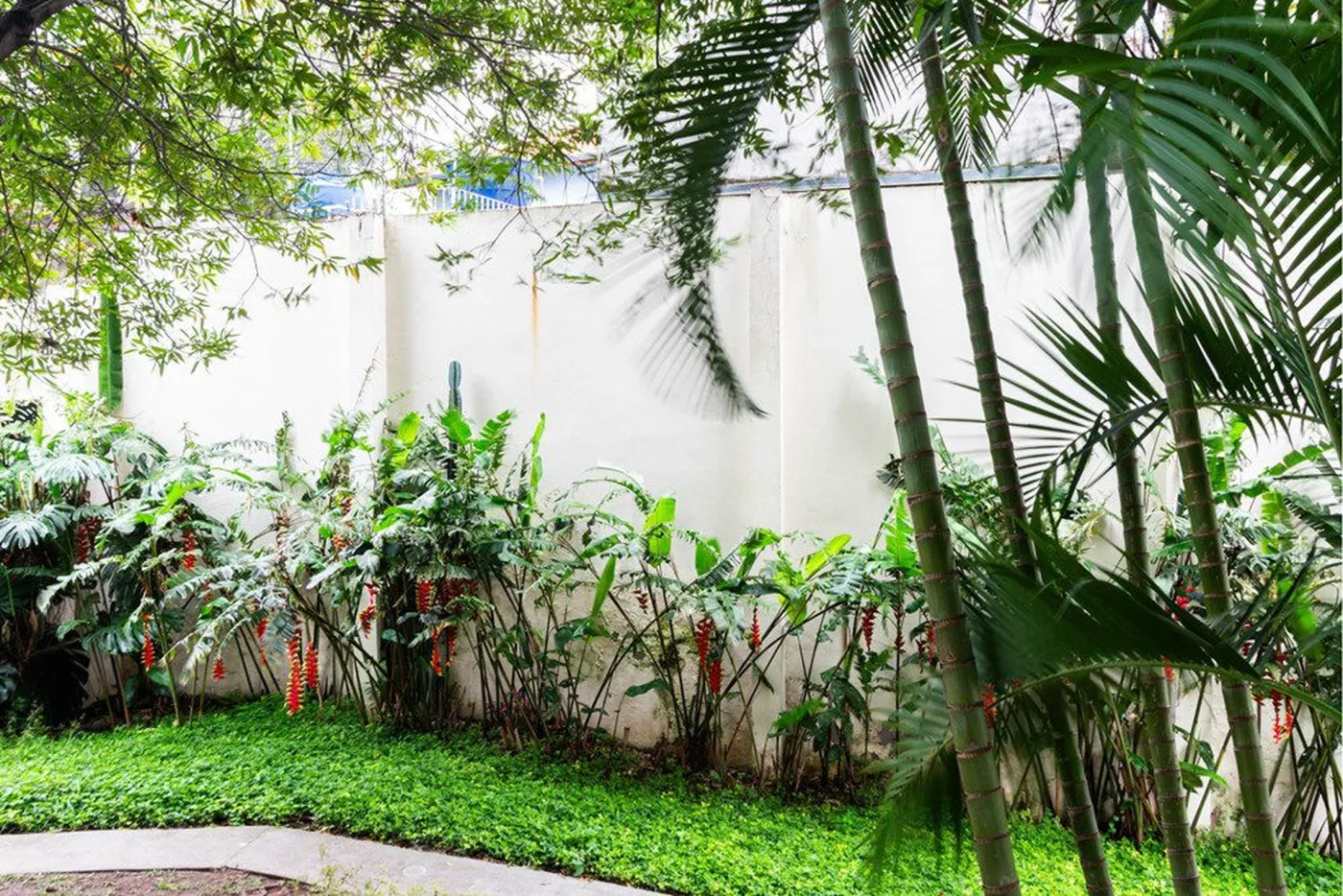 VLIC 54 Apto 602281022-128 - REMAX Paradisus Exclusividades — foto 4