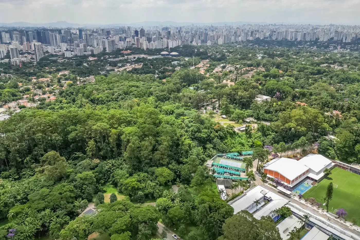 CFTDF 131 Lote 601131046-23 - REMAX Ares Exclusividades — foto 4