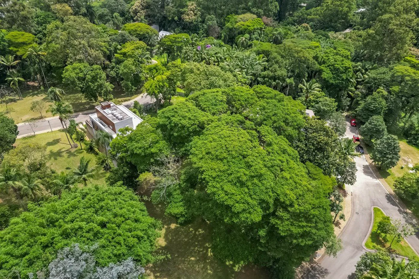 CFTDF 131 Lote 601131046-23 - REMAX Ares Exclusividades — foto 5