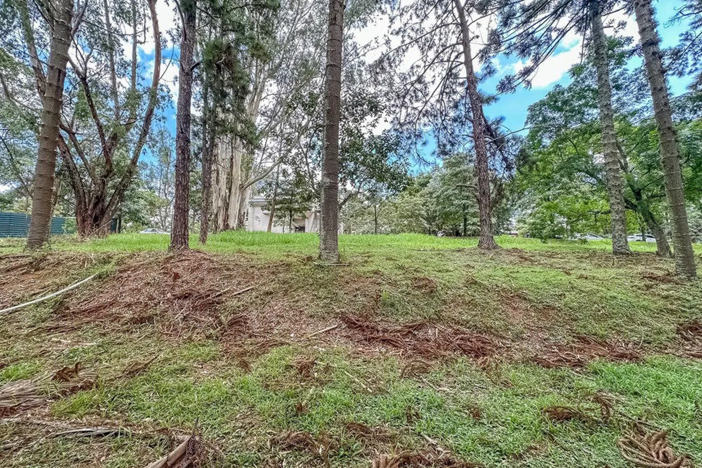 CFTDF 131 Lote 601131046-23 - REMAX Ares Exclusividades — foto 2