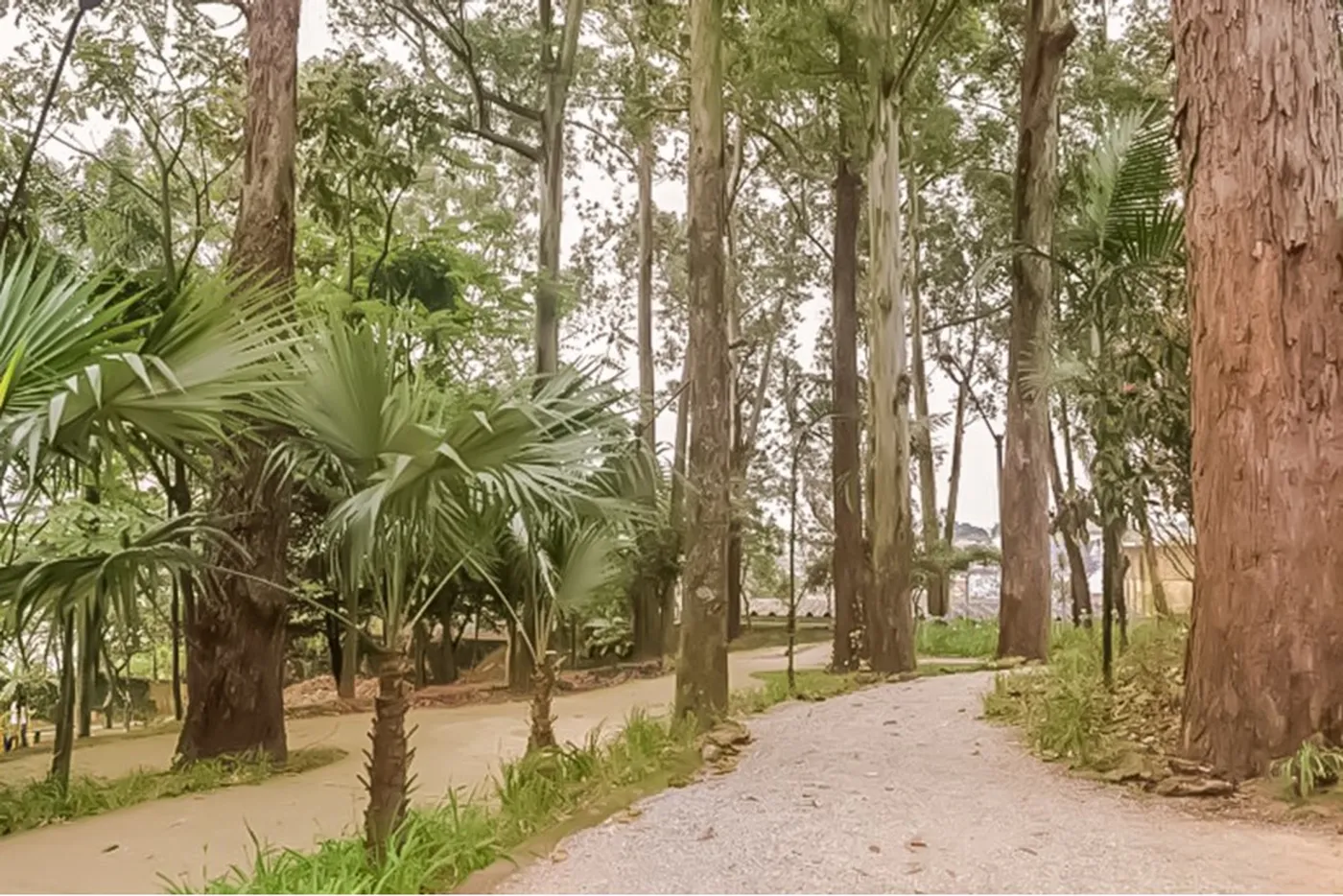 PNOC 562 Apto 630821005-27 - REMAX Exclusive Exclusividades — foto 4