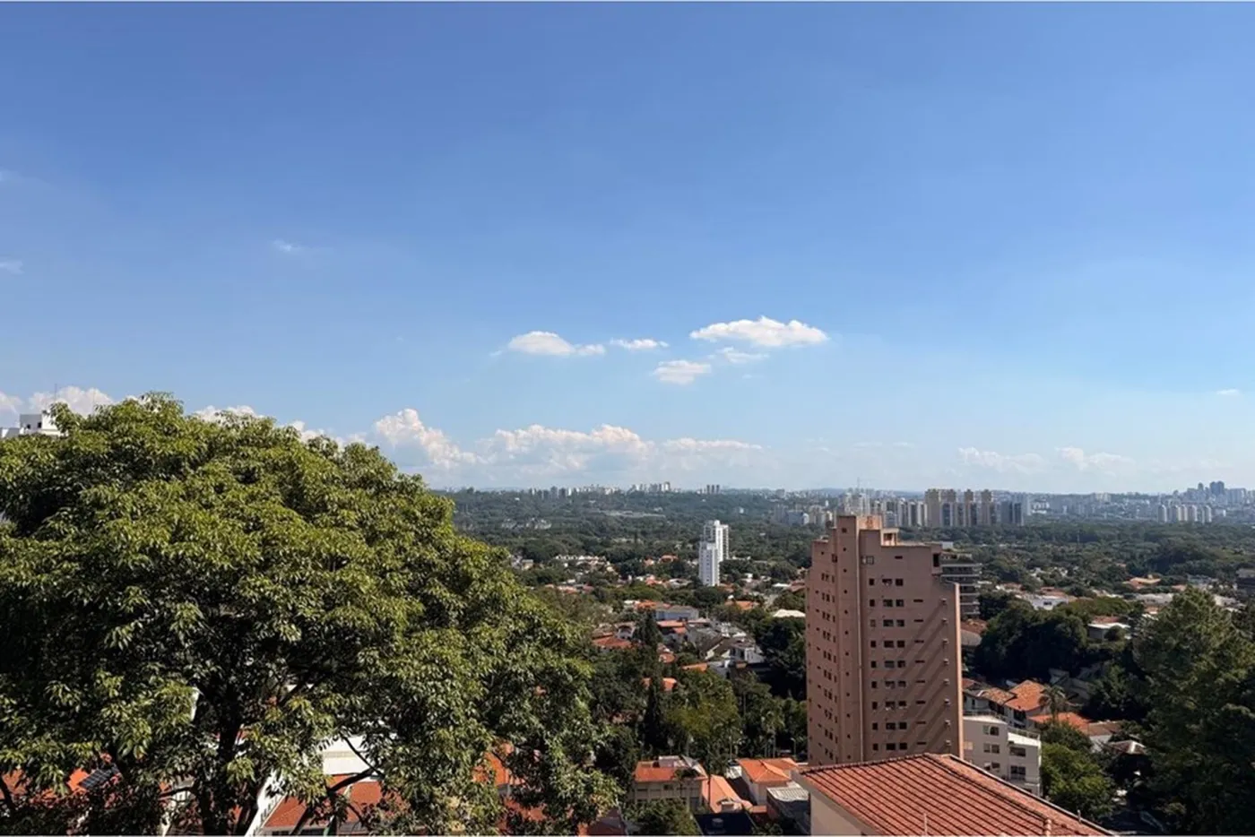ADLCC 585 Sala 601261089-540 - REMAX Terra Exclusividades — foto 2