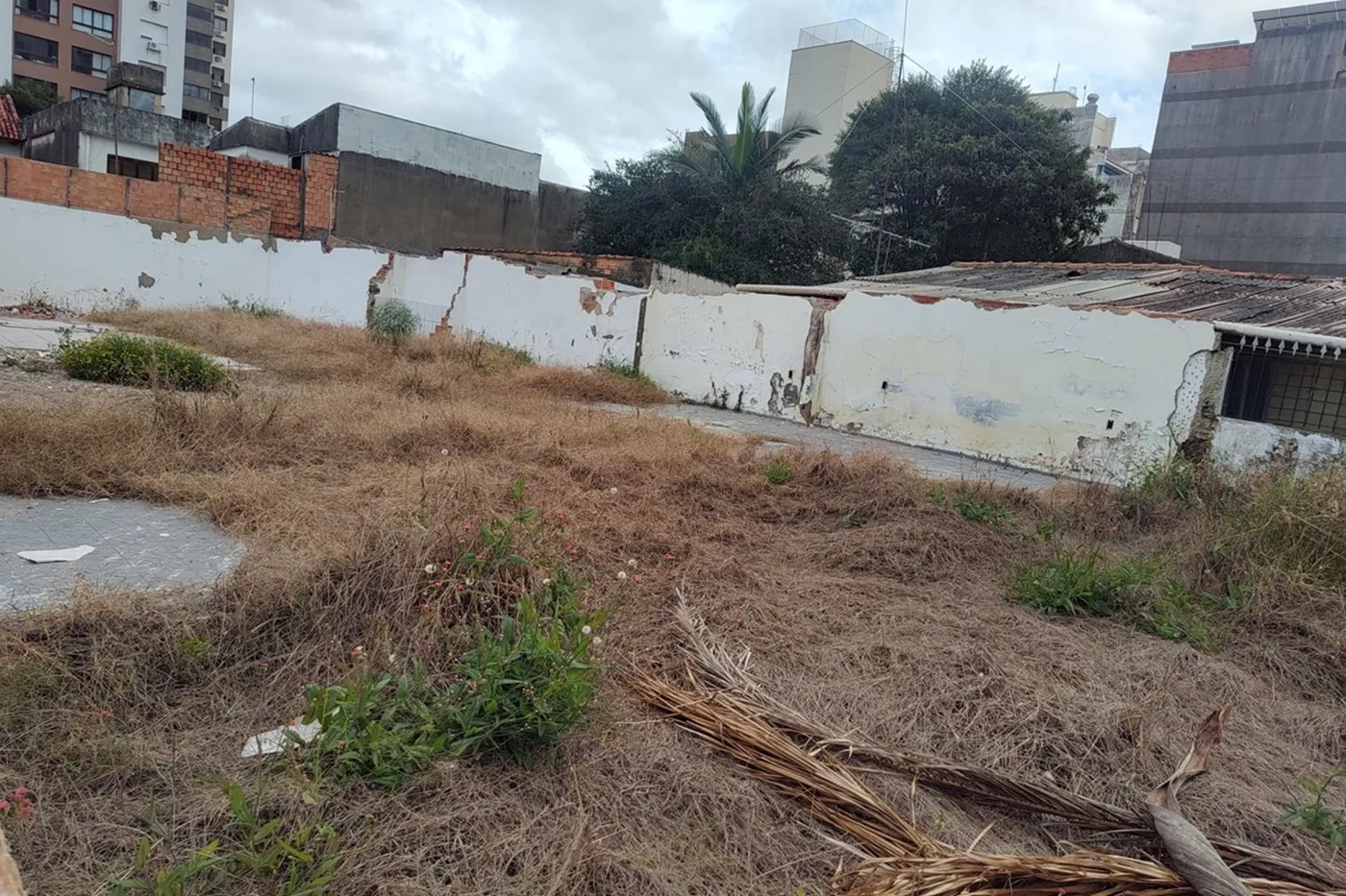 PDJW 151 Lote 612511082-1 - REMAX Moderna Exclusividades — foto 5