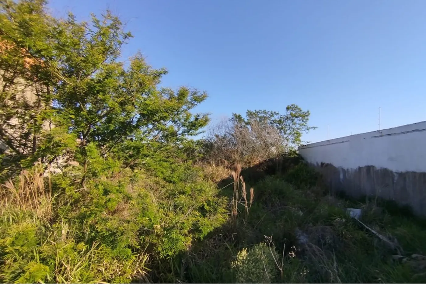 SJI 6 Lote 610241023-84 - REMAX 520 Exclusividades