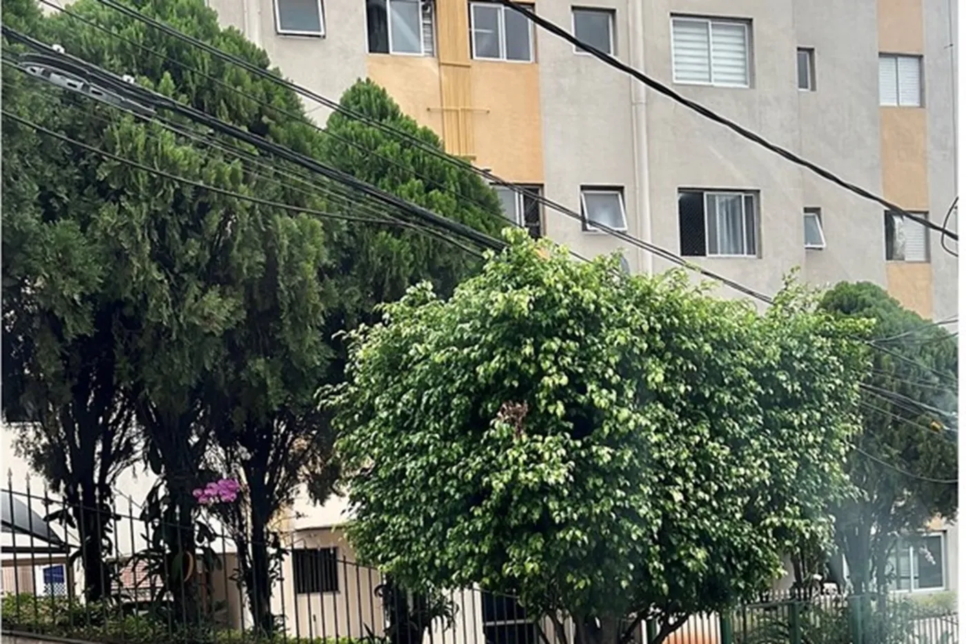 FDÓV 38 Apto 602281044-173 - REMAX Paradisus Exclusividades — foto 4