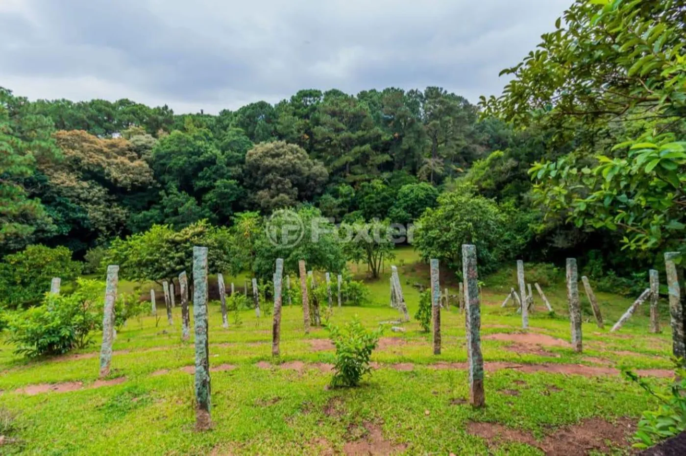 NCL 742 Lote 290 - Patrimônio Imóveis Exclusividades — foto 2