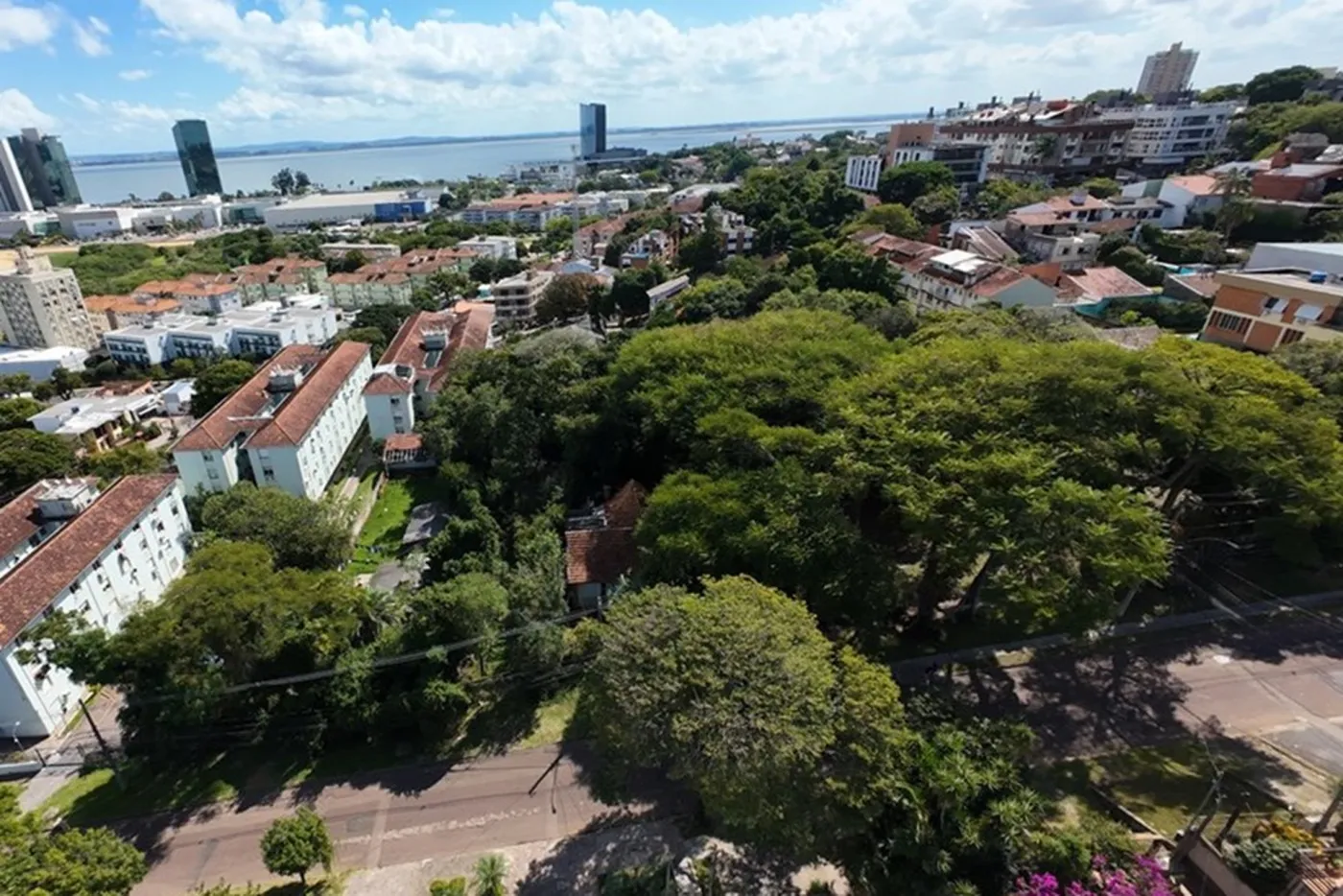 CC 345 Lote 610191048-50 - REMAX Casa Sul Exclusividades — foto 5