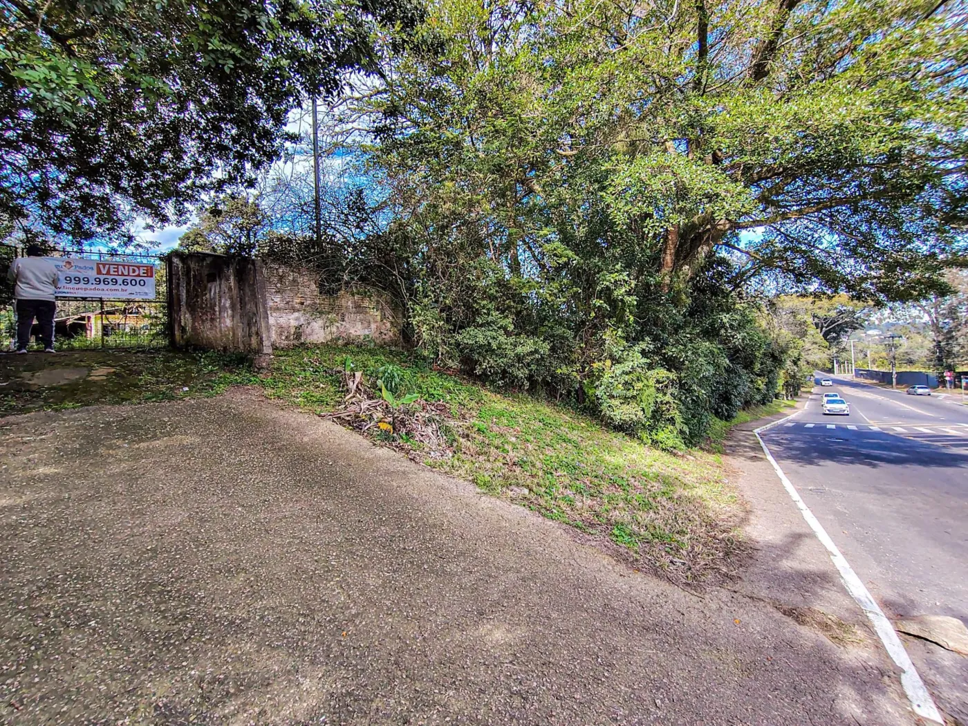CNCG 1516 Lote 95640-LP - Lineu Exclusividades — foto 2