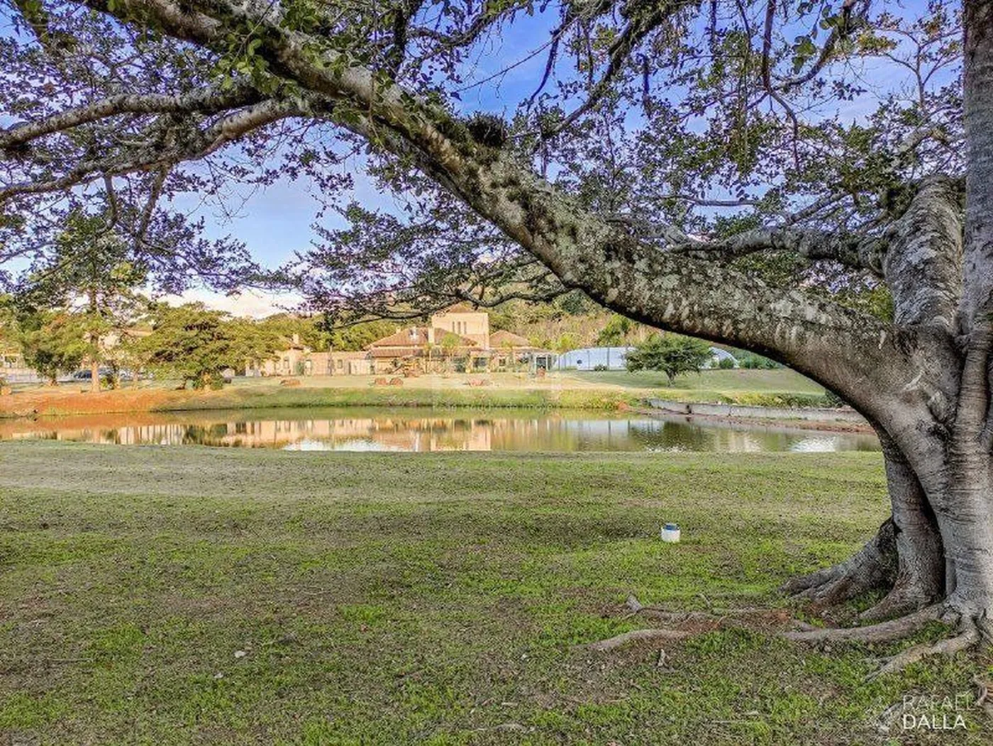 ADTM 2001 Lote 1218-LP - Lineu Exclusividades — foto 4
