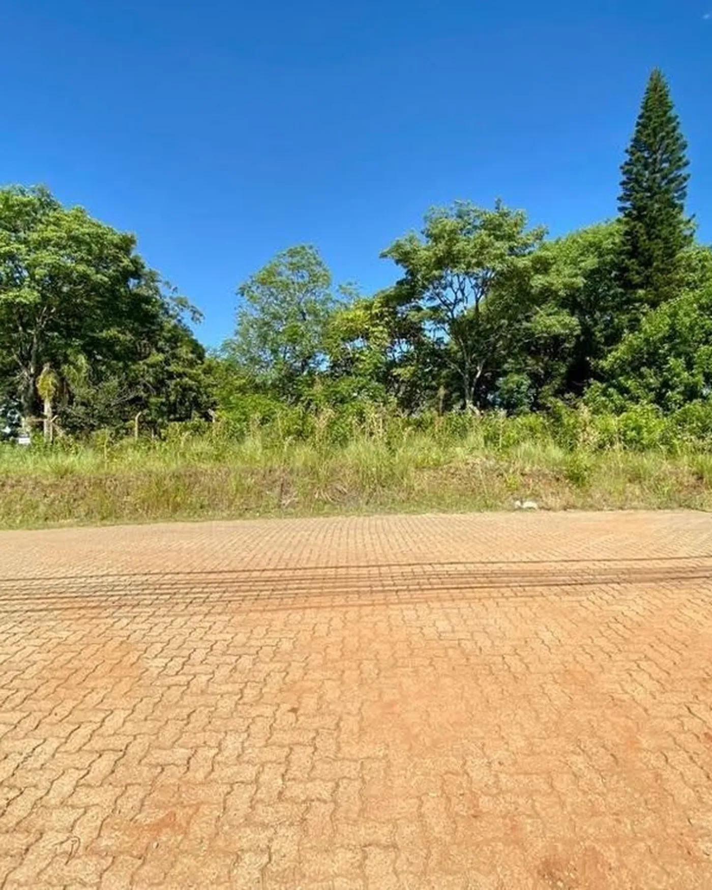 CVAM Terreno - Allgayer Avulsos — foto 2